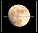 scgIMG_9893 MOON 01