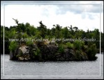 scgOneidaThousandIsland-Rose 050w