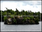 scgOneidaThousandIsland-Rose 062