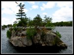 scgOneidaThousandIsland-Rose 066
