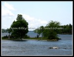 scgOneidaThousandIsland-Rose 068