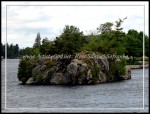 scgOneidaThousandIsland-Rose 071