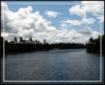 scgOneidaThousandIsland-Rose 074