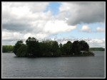 scgOneidaThousandIsland-Rose 103
