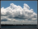 scgOneidaThousandIsland-Rose 180