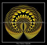 scgSunflower-PolarCoordinates