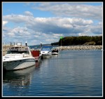 spscgIMG_2572 W-LE47 - Sturgeoun Point