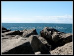 spscgIMG_2595 W-LE51 - Sturgeoun Point