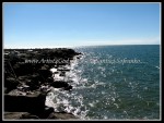 spscgIMG_2608 W-LE58 - Sturgeoun Point