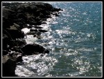 spscgIMG_2610 W-LE59 - Sturgeoun Point