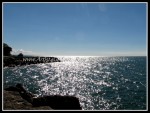 spscgIMG_2628 W-LE65 - Sturgeoun Point