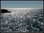 spscgIMG_2629 W-LE66 - Sturgeoun Point