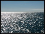 spscgIMG_2632 W-LE68 - Sturgeoun Point