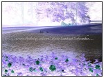 sc1i-gIMG_0298