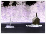 sc1i-gIMG_0399