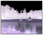 sc1i-gIMG_0402