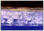 sc1i-gIMG_0454