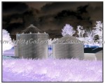 sc1i-gIMG_0468