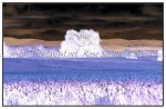 sc1i-gIMG_0474