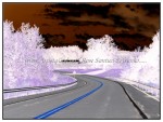 sc1i-gIMG_0758