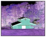 sc1i-gIMG_0871