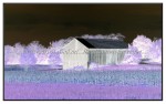 sc1i-gIMG_0882a