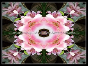 scg100_0017w12w8