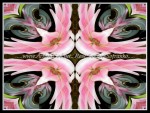 scg100_0017w5w7