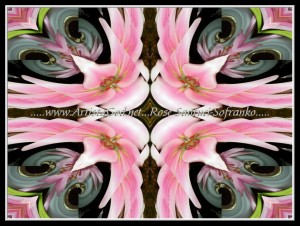scg100_0017w5w7