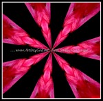 scgB-IMG_6375-k01-ud