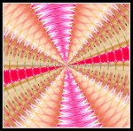 scgB-IMG_6375-k09