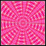 scgB-IMG_6375-k10