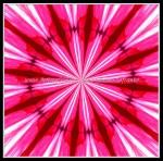 scgB-IMG_6375-k12