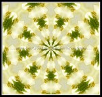 scgB-IMG_6376-k04