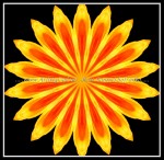 scgB-IMG_6377-k06b