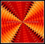 scgB-IMG_6377-k09