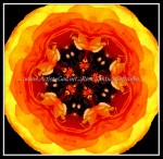 scgB-IMG_6377-k13