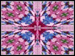 scgF21-RP-05-nb