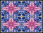 scgF21-RP-07-nb