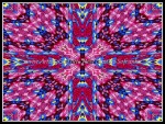 scgF22-RP-12-nb