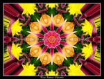scgFloral-105-k1-pcp-pc2
