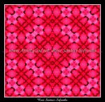 scgFloral-74