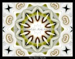 scgFloral-79-k1-8x11