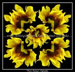 scgFloral-W-02-cc-7