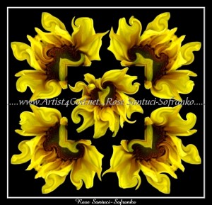 scgFloral-W-02-cc-7