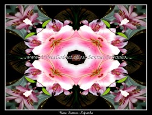 scgFloral-W-04