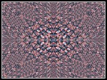 scgI02-RP-11-nb