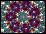 scgIMG_0364-ud-k03