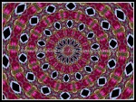 scgIMG_0364-ud-k05