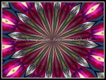scgIMG_0364-ud-k12